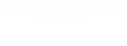 visualPhotoSelector